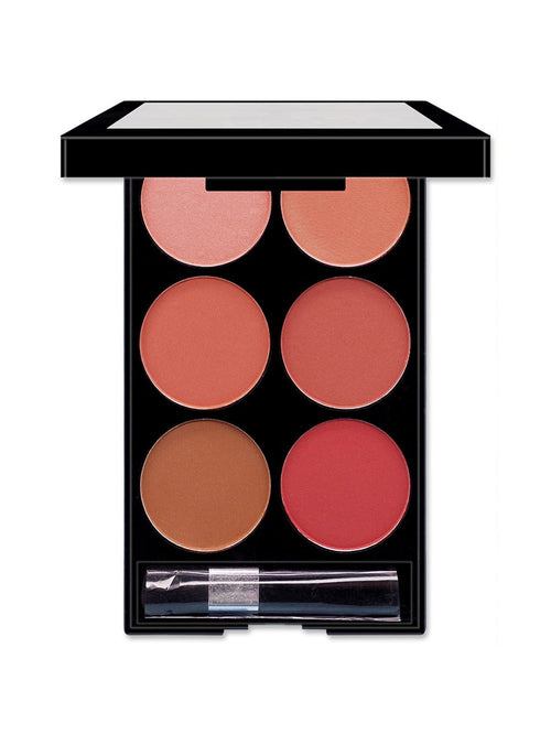 6B Six-color Blush Repair Makeup